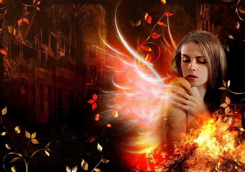 Phoenix Illustration