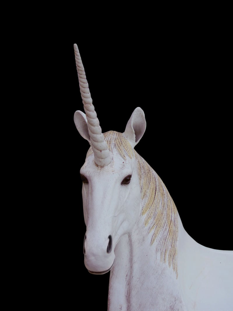 Unicorn in the forest